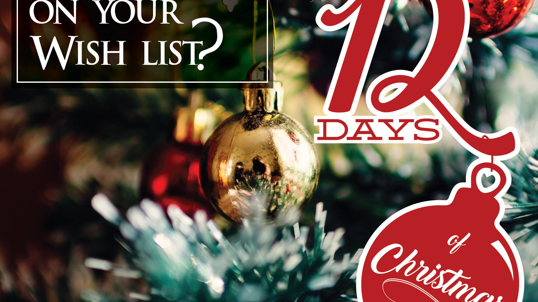 12 Days of Christmas