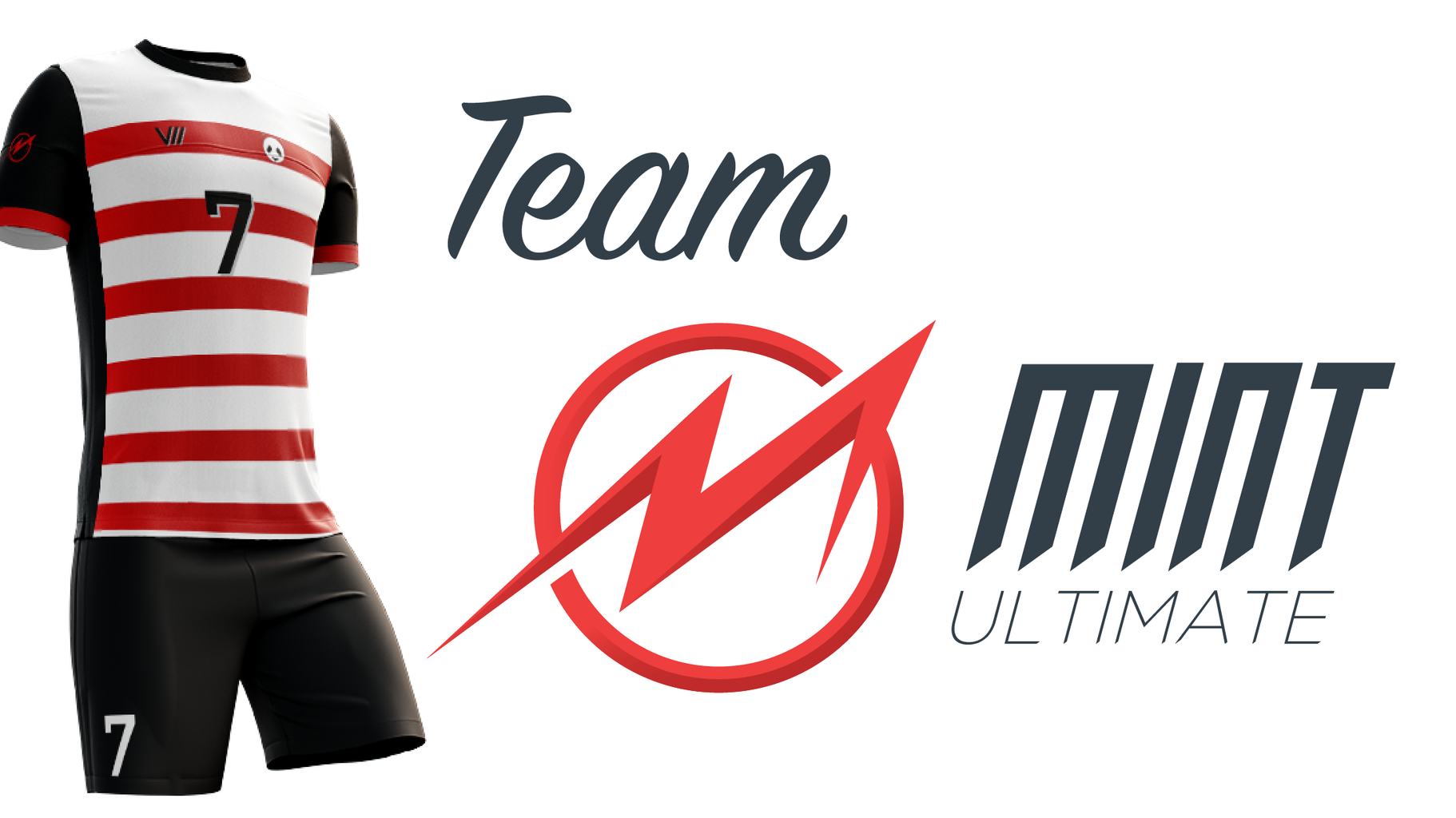 Join Team Mint Ultimate