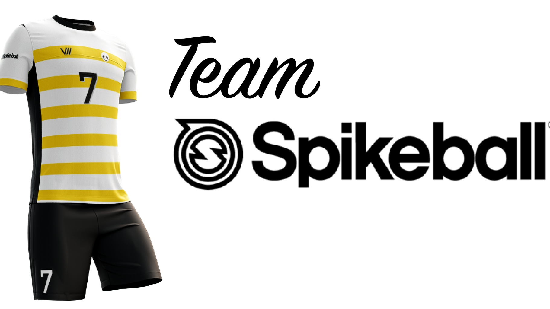 Join Team Spikeball