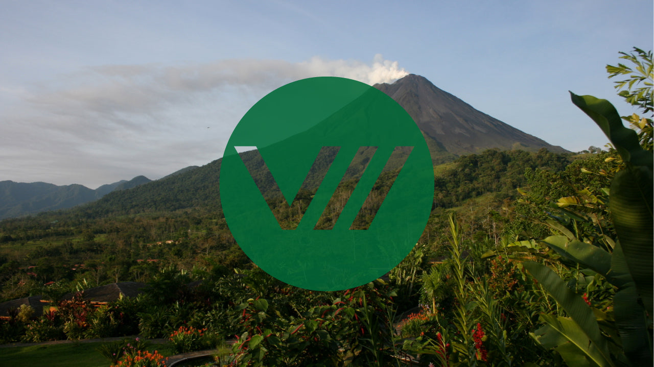 5 Reasons Why We Love the Volcanic Tournament