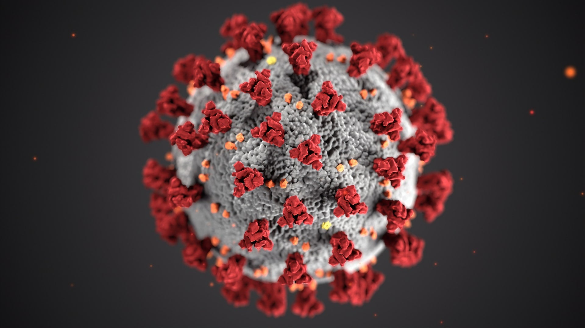 COVID-19 and Savage Apparel Co.: Our response to Coronavirus