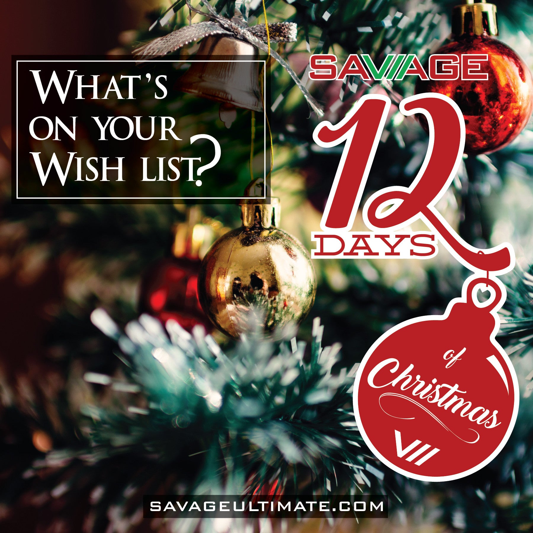 12 Days of Christmas