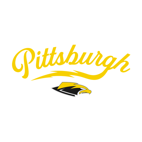 VII Savage Apparel AUDL Ultimate Frisbee Team Store Pittsburgh Thunderbirds
